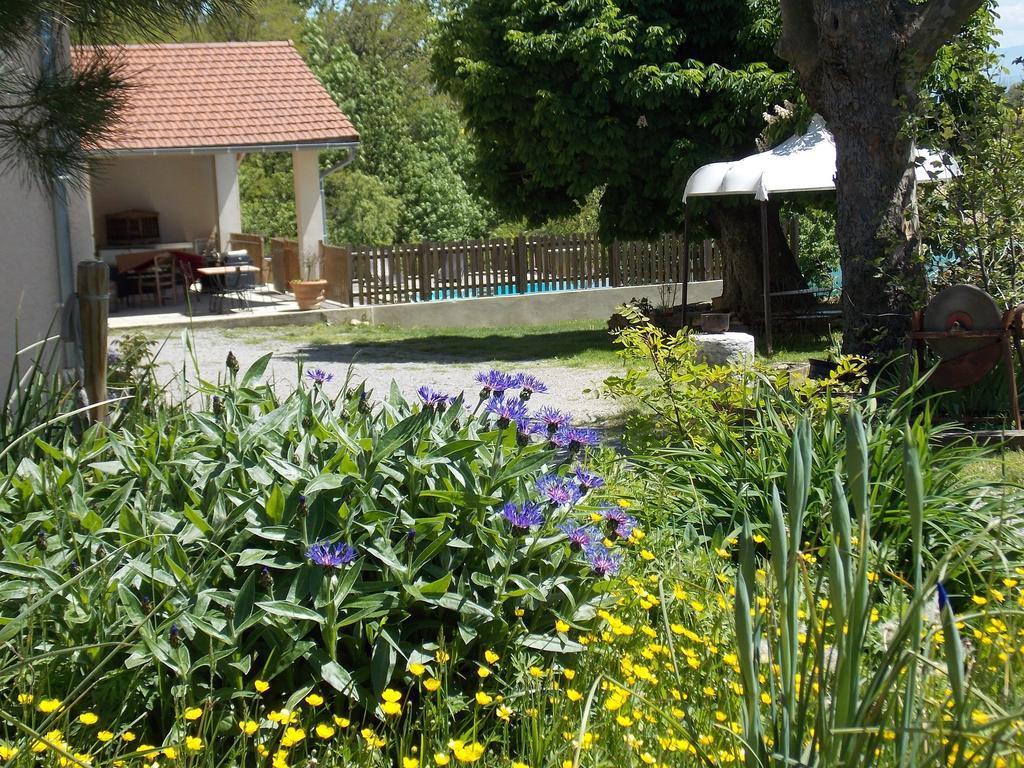 A La Mare Du Vieux Chene Bed & Breakfast Bellegarde-Poussieu Exterior photo